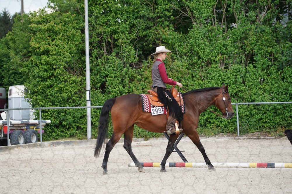 s_A9_09263.jpg
